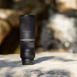 Canon RF 800mm F11 IS STM Lens - Additional view 7
