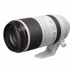 Canon RF 100-500mm F4.5-7.1L IS USM Lens - Additional view 4