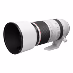 Canon RF 100-500mm F4.5-7.1L IS USM Lens - Additional view 5