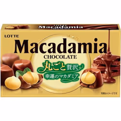 lotte Macadamia Chocolate 9 pieces Chocolate