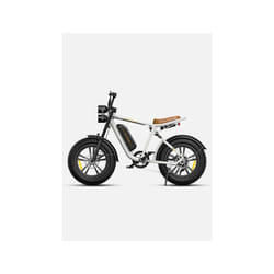ENGWE M20 Electric Bike W750 25KM/H for Adults, Dual Battery 13AH E-bike