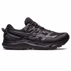 ASICS 1011B593.002_10.5, Male, Adult, Black, Grey, Black, Carrier Grey, Rubber, Gore-Tex