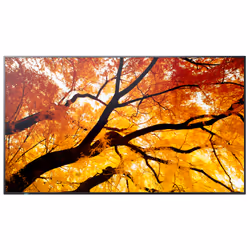 Sharp MultiSync M552 Digital signage flat panel 139.7 cm (55") LCD 550 cd/m² 4K Ultra HD Black Touchscreen