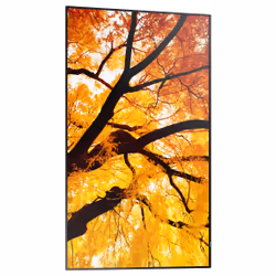 Sharp MultiSync M552 Digital signage flat panel 139.7 cm (55") LCD 550 cd/m² 4K Ultra HD Black Touchscreen - Additional view 4
