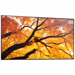 Sharp MultiSync M552 Digital signage flat panel 139.7 cm (55") LCD 550 cd/m² 4K Ultra HD Black Touchscreen - Additional view 5