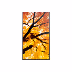 Sharp MultiSync M432 Digital signage flat panel 108 cm (42.5") LCD 550 cd/m² 4K Ultra HD Black - Additional view 3