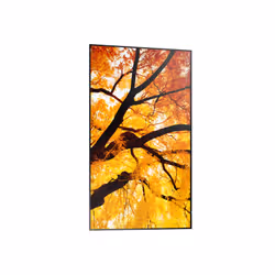 Sharp MultiSync M502 Digital signage flat panel 127 cm (50") LCD 550 cd/m² 4K Ultra HD Black 24/7 - Additional view 4