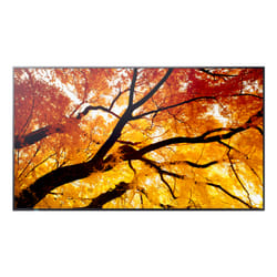 Sharp MultiSync PN-M982 Interactive flat panel 2.48 m (97.5") LED 550 cd/m² 4K Ultra HD Black 24/7