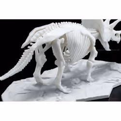 Triceratops Dinosaur Limex Skeleton Bandai Spirits Hobby Model Kit