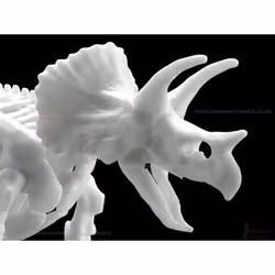 Triceratops Dinosaur Limex Skeleton Bandai Spirits Hobby Model Kit