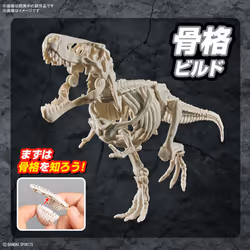 Plannosaurus Dinosaur Series #01 Tyrannosaurus Rex (T-Rex) model kit - Additional view 8