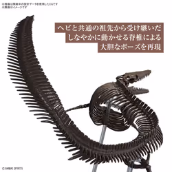BANDAI Imaginary Skeleton - Mosasaurus - Model Kit