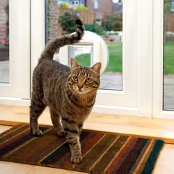 Sure Petcare SureFlap Microchip Cat Flap, RFID Collar Tags and Microchip Compatible, One-Button Control, Install in Doors, Windows and Walls, White, 4