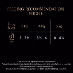 SHEBA - Adult Wet Cat Food Pouches- 40 x 85 g - Poultry - Bulk Cat Food Megapack - 40 Jelly Pouches