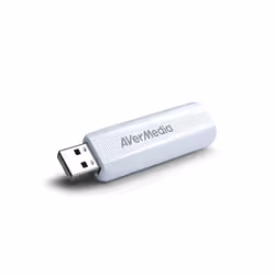 AVerMedia TD310