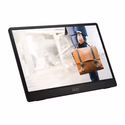 MSI PRO MP161DE E2 computer monitor 39.6 cm (15.6") 1920 x 1080 pixels Full HD LED Black