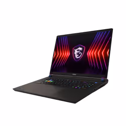 MSI Vector 17 HX Intel® Core™ i9 i9-14900HX Laptop 43.2 cm (17") Quad HD+ 32 GB DDR5-SDRAM 1 TB SSD NVIDIA GeForce RTX 4070 Wi-Fi 7 (802.11be) Windows 11 Home Black