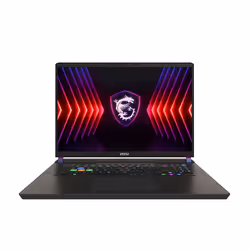 MSI Vector 17 HX Intel® Core™ i9 i9-14900HX Laptop 43.2 cm (17") Quad HD+ 32 GB DDR5-SDRAM 1 TB SSD NVIDIA GeForce RTX 4070 Wi-Fi 7 (802.11be) Windows 11 Home Black