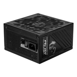 MSI MPG A1250GS PCIE5 power supply unit 1250 W 20+4 pin ATX ATX Black