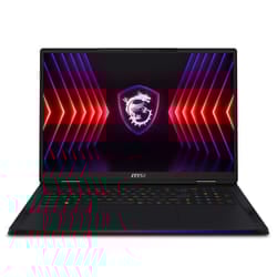 MSI Raider 18 HX A14VIG-473UK Intel® Core™ i9 i9-14900HX Laptop 45.7 c