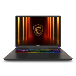 MSI Vector 17 HX AI A2XWJG-004UK Intel Core Ultra 9 275HX Laptop 43.2 cm (17") Quad HD+ 32 GB DDR5-SDRAM 1 TB SSD NVIDIA GeForce RTX 5090 Wi-Fi 7 (802.11be) Windows 11 Home Advanced Grey