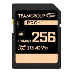 TEAMGROUP PRO 256GB UHS-I U3 A2 V30 4K UHD Read/Write Speed up to 160/120MB/s SDXC Memory Card for Professional Vloggers  Filmmakers  Photog