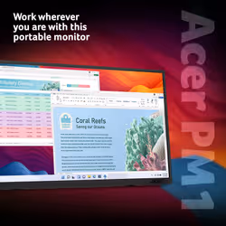 Acer PM161QT portable monitor - 15.6", Full HD (1920x1080), IPS, 60Hz, 6ms, AdaptiveSync, black - Additional view 2