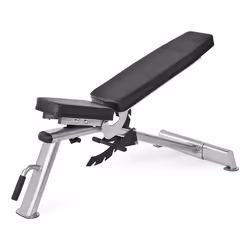 JOHNSON Fitness & Wellness ADONIS Horizon