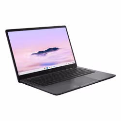 ASUS Chromebook CX1505CTA-S70389 Intel Core 3 N355 39.6 cm (15.6") Full HD 8 GB LPDDR5-SDRAM 256 GB eMMC Wi-Fi 6 (802.11ax) ChromeOS Grey - Additional view 2