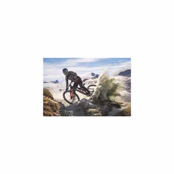 Forekaster 29 x 2.40 WT 60 TPI Folding 3C MaxxTerra EXO/TR Tyre