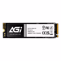 AGI Technology AI198, 256 GB, M.2, 3000 MB/s