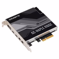 Gigabyte GC-MAPLE RIDGE interface cards/adapter Internal DisplayPort.