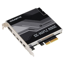 Gigabyte GC-MAPLE RIDGE interface cards/adapter Internal DisplayPort.