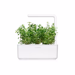 Click & Grow Mountain Savory Plant Pods