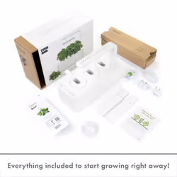Click & Grow Indoor Herb Garden Kit with Grow Light | Smart Garden for Home Kitchen Windowsill | Easier than Hydroponics Growing System