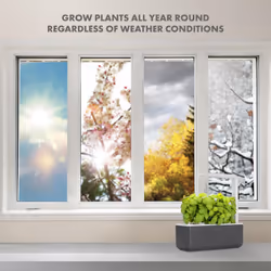 Click & Grow Indoor Herb Garden Kit with Grow Light | Smart Garden for Home Kitchen Windowsill | Easier than Hydroponics Growing System - Additional view 6