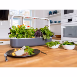 Click & Grow Smart Garden 9 home garden White