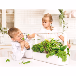 Click & Grow Smart Garden 9 home garden White - Additional view 7