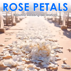 500 Rose petals scattered white decoration Wedding