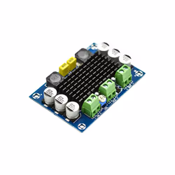 Mono Amplifier Board Class DC 12V-26V Digital Audio Power Amplifier