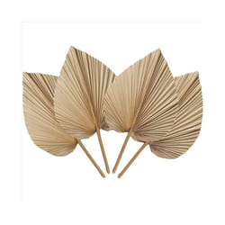 4 Pieces Natural Dried Palm Leaves are Perfect for Palm Leaf Decor