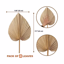 4 Pieces Natural Dried Palm Leaves are Perfect for Palm Leaf Decor