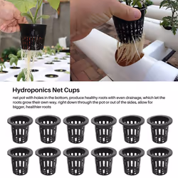 100 Pack 2.36 Inch Cups Slotted Mesh Wide Lip Filter Plant Net Pot
