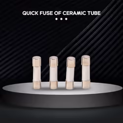 10Pcs 250V 0.5A 500mA Fast Blow Ceramic Fuses Tubes 5mm x 20mm