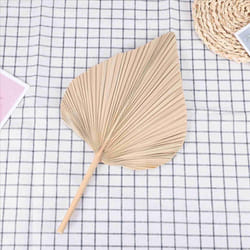 Dried Palm Leaves Room Decor 5 Pieces - 18Inch H x 10Inch W Palm Leaf