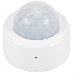 Tuya Zigbee PIR Motion Sensor Smart Control with Alexa Google Home