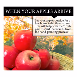 Realistic Fake Apples 13 PCS - Fake Fruits,Decorative Fruit (Red)
