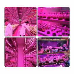 USB Grow Light Strip for Plants Greenhouse Hydroponic Growing 100cm