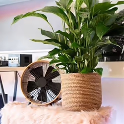 Seagrass Flower Pot - Woven Plant Pot - Decorative Plant Basket S