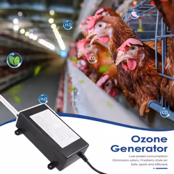 1000Mg Ozonizer Water Air Purifier Cleaner Treatment ,EU Plug